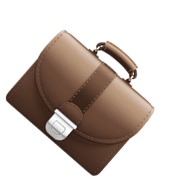 briefcase